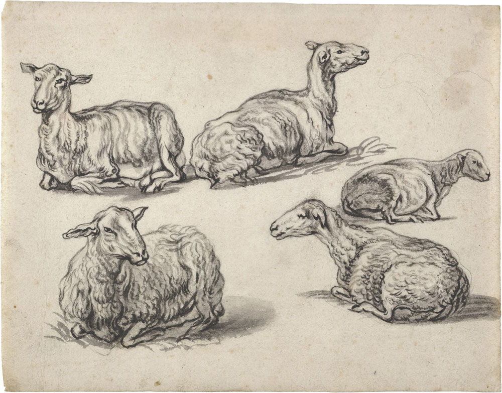 Aelbert Cuyp - Five Stud­ies of Recum­bent Sheep