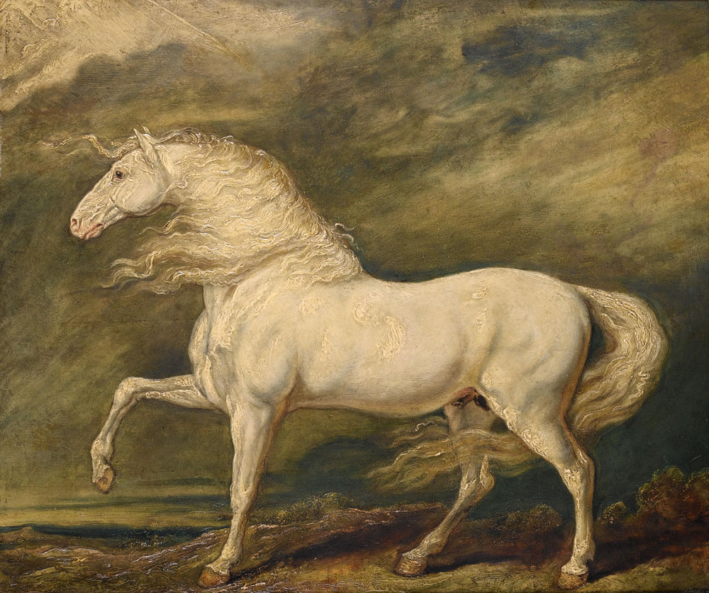 James Ward - Adonis, the favourite charger of King George III