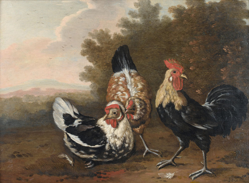 Circle of Pieter Casteels III - Ornamental fowl in a wooded landscape