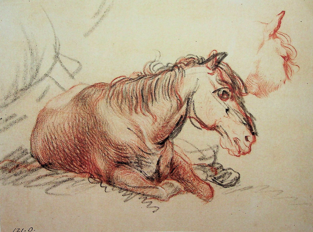 Rembrandt - Lying Horse