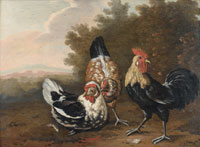 Circle of Pieter Casteels III Ornamental fowl in a wooded landscape