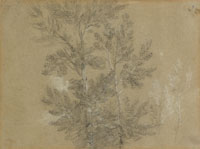 Thomas Gainsborough A study of trees