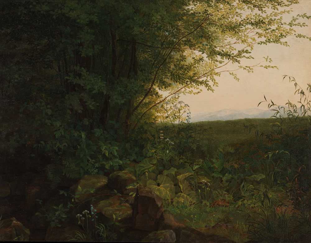 August Heinrich - At the Edge of the Forest