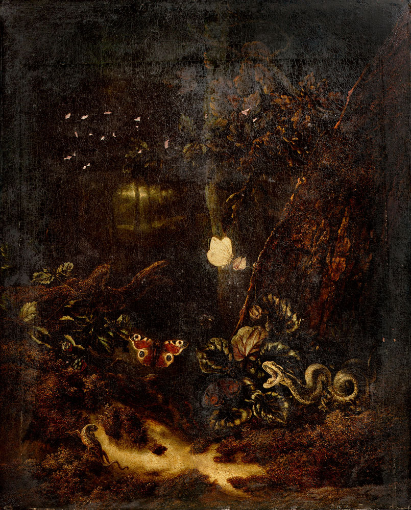 Otto Marseus van Schrieck - A forest floor still life