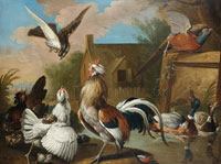 Circle of Pieter Casteels III A cockerel, hens, a pheasant, ducks and other birds in a landscape