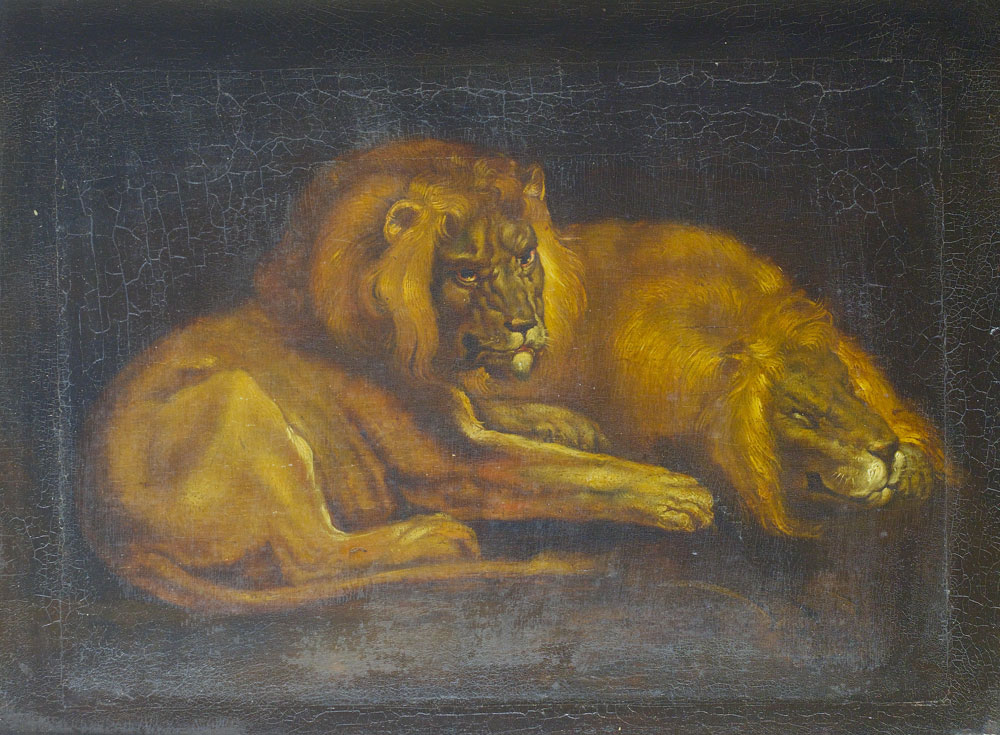 English School - Lions resting