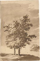 Jacob van der Ulft Study of Two Trees on a Rise