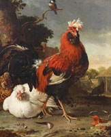 Melchior de Hondecoeter A cockerel and other decorative fowl in a landscape