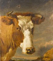 After Nicolaes Berchem The Head of a bull