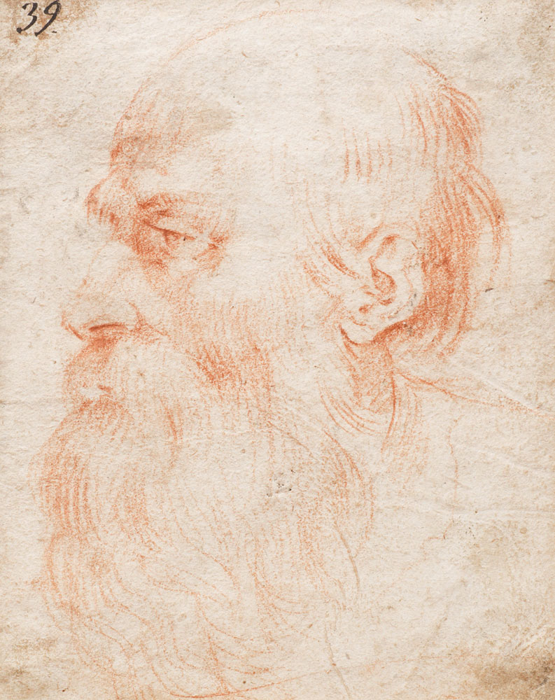 Circle of Giuseppe Cesari - Head of a bearded man in profile to the left