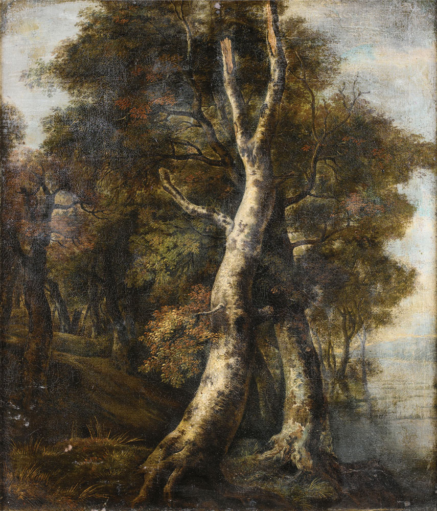Manner of Jacob van Ruisdael - A wooded river landscape