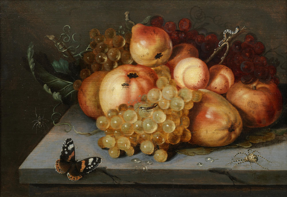 Attributed to Jacob Woutersz. Vosmaer - Apples, grapes, pears and apricots on a stone ledge with a butterfly and spiders nearby