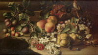 Studio of Abraham Brueghel Plums, peaches, a pomegranate and grapes beside a sprig of jasmine with a goldfinch on a rocky ledge