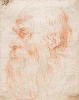 Circle of Giuseppe Cesari Head of a bearded man in profile to the left