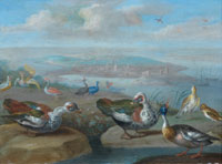 Jan van Kessel the Elder Egyptian geese, a red breasted merganser and other birds on a shore, a town beyond