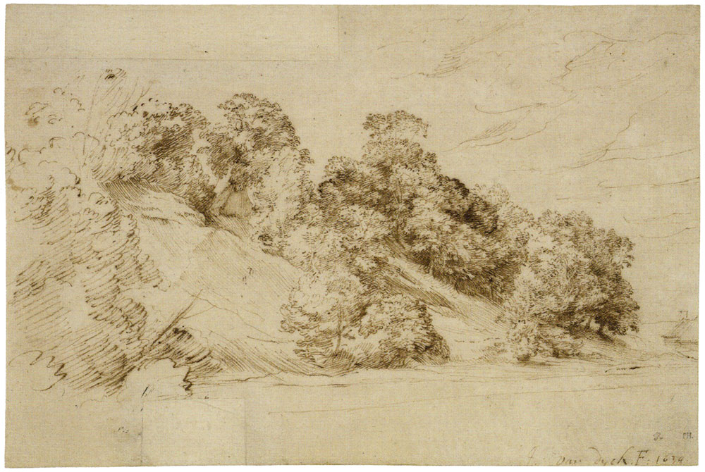 Anthony van Dyck - Trees on a Hillside