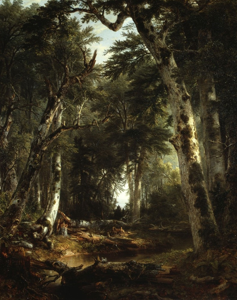Asher Brown Durand - In the Woods