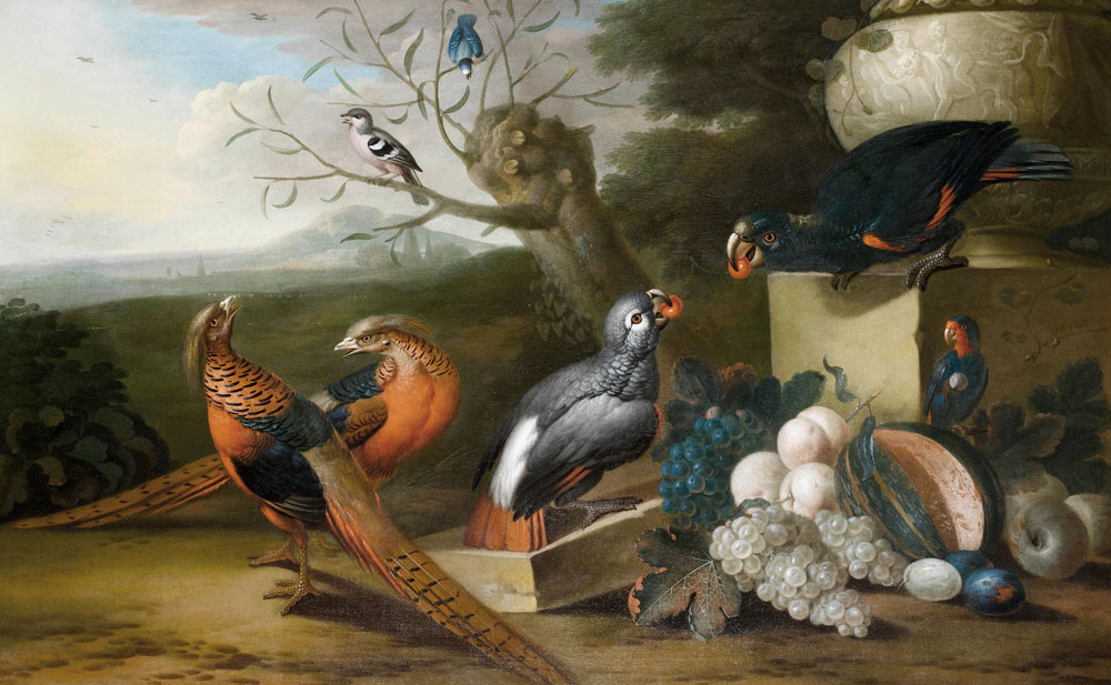 Tobias Stranover - A parkland setting with pheasants, parrots and other birds, together with a still life of red and white grapes and a cut melon