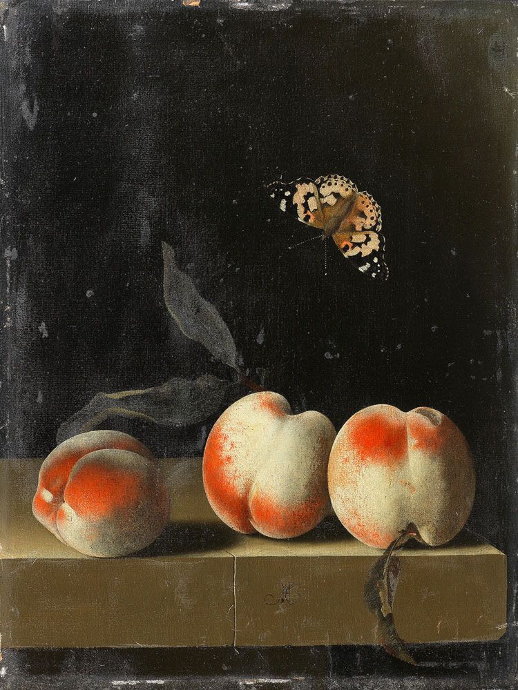 Adriaen Coorte - Three peaches on a stone ledge with a Red Admiral butterfly