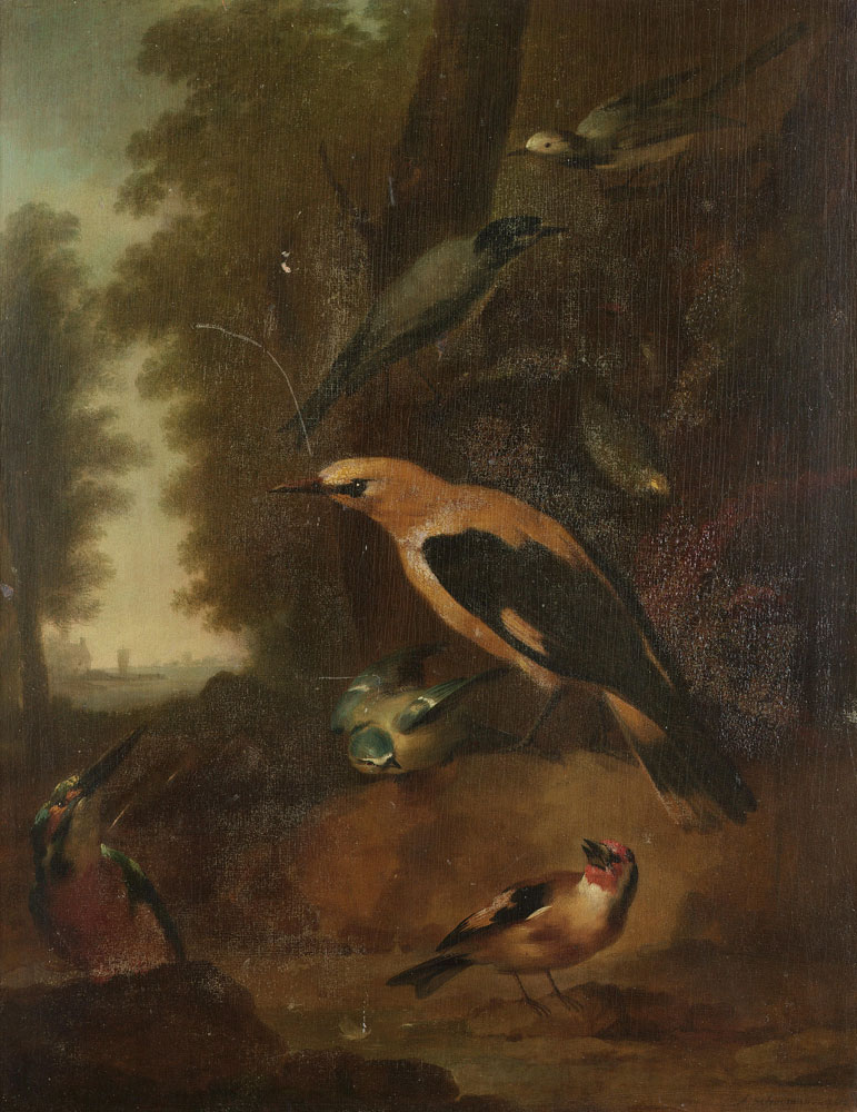 Aert Schouman - A golden oriel, a kingfisher, a blue tit, a goldfinch and wagtails