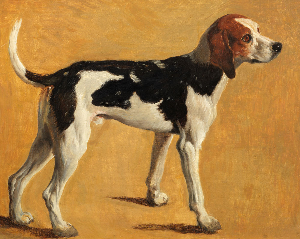 French School - A beagle