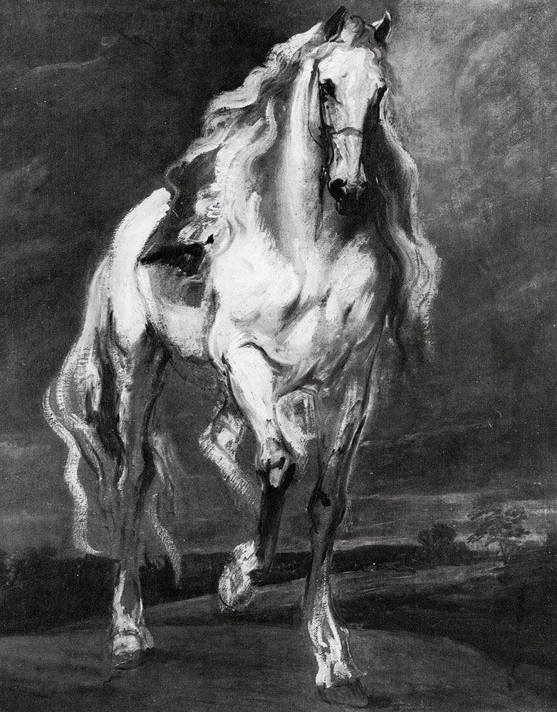 Anthony van Dyck - Sketch of a Horse