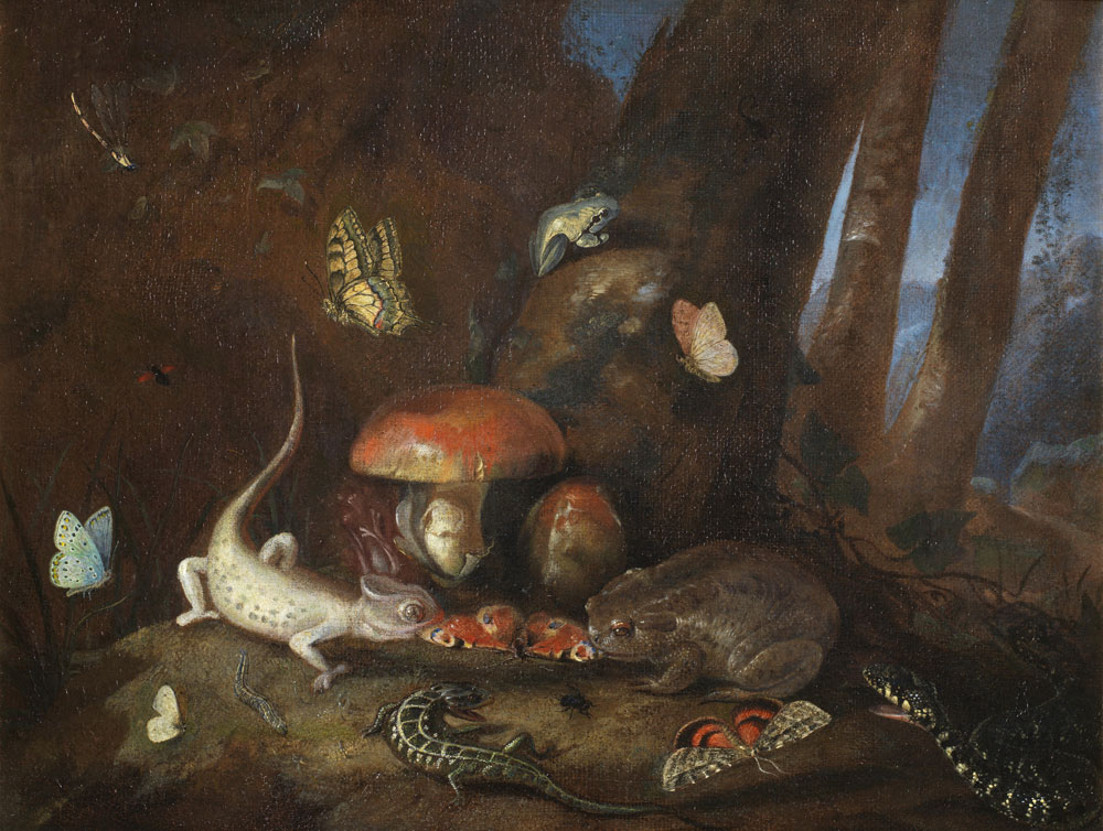 Otto Marseus van Schrieck - A forest floor with lizards, toads and butterflies