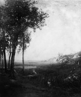 Alexander H. Wyant Broad, Silent Valley