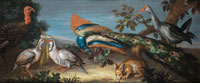 Studio of Jean-Baptiste Monnoyer A peacock, a turkey, a purple gallinule, partridges and a squirrel in a landscape