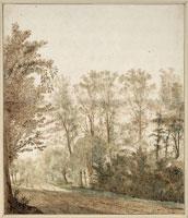 Cornelis Hendricksz. Vroom - Wooded Country Road with a Traveler