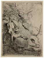 Rembrandt The Small Lion Hunt, with One Lion