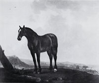 Aelbert Cuyp Horse in a Landscape